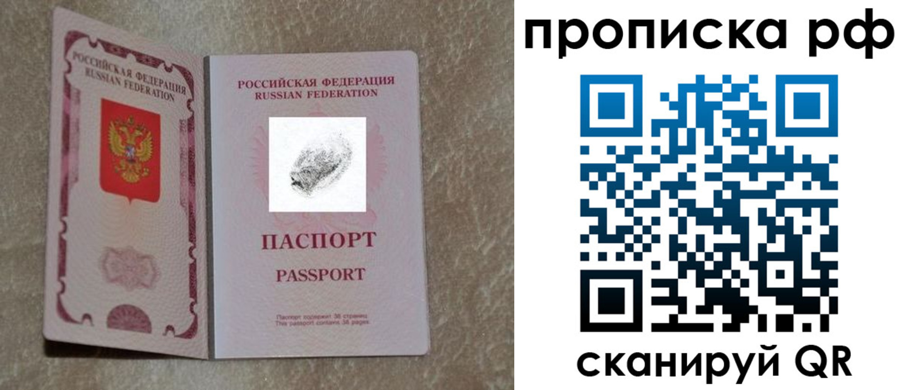 прописка поиск в Северске